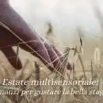 Estate sensoriale, 5 romanzi da leggere per un viaggio immersivo nella bella stagione