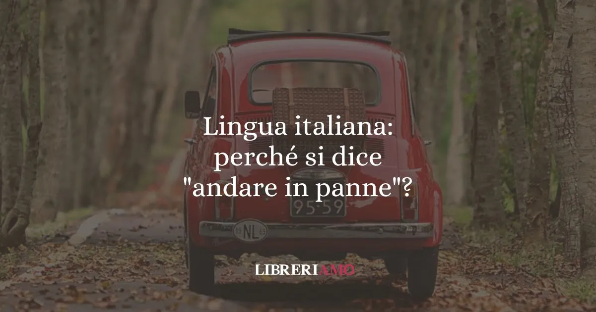Lingua italiana perché si dice andare in panne