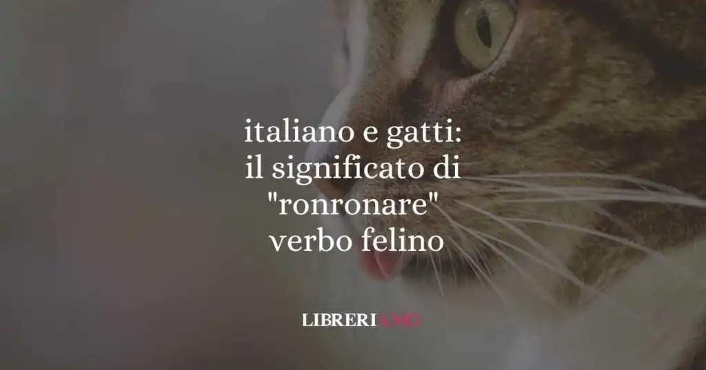 italiano e gatti il significato di ronronare, verbo felino