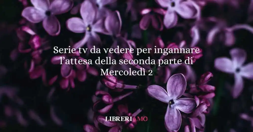 Serie tv da vedere per ingannare l’attesa della seconda parte di Mercoledì 2