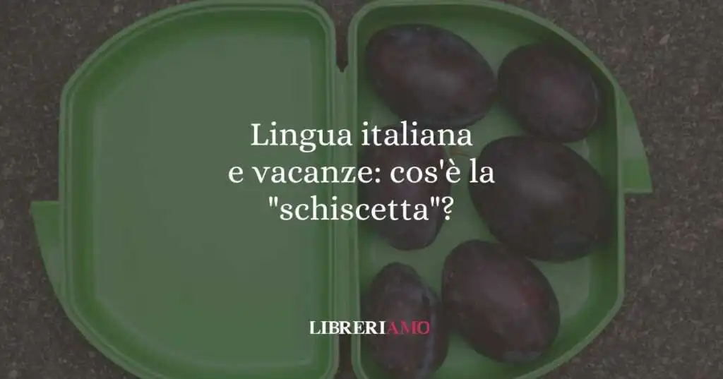 Lingua italiana e vacanze: cos'è la "schiscetta"?